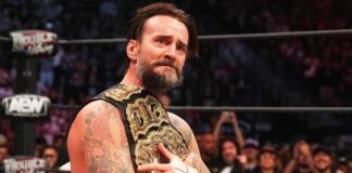 Net Worth Of WWE Superstar CM Punk