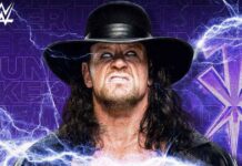 The Undertaker Once Considered Quitting WWE