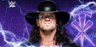 The Undertaker Once Considered Quitting WWE