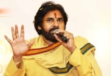 Pawan Kalyan To Quit Acting Just Like Thalapathy Vijay? Here's The Truth