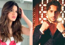 Rising Stars of Bollywood: New Faces to Watch Out for in 2024
