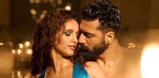 Bad Newz At The Worldwide Box Office (Day 14): Aims To Dethrone Bade Miyan Chote Miyan & Article 370 In Global Top Grossers List