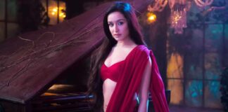 Box Office - Stree 2 continues to build lead, has another day of over 20 crores