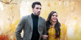 Laila Majnu Re-Release Box Office: Triptii Dimri's Film Outpaces Its Original Run In Just 5 Days, Poised To Break Rockstar Re-Release Record!