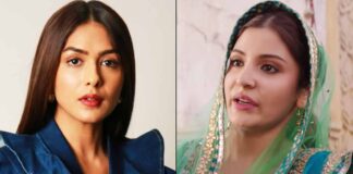 Mrunal Thakur was the first choice for Sultan