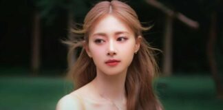 Teaser image of Tzuyu's solo debut has dropped