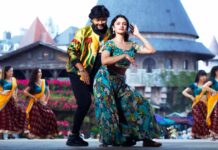 Ganesh & Malvika Nair's Krishnam Pranaya Sakhi struggles to reach the 20 crore mark!