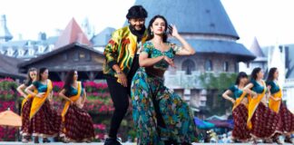 Ganesh & Malvika Nair's Krishnam Pranaya Sakhi struggles to reach the 20 crore mark!