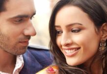 Laila Majnu Re-Release Box Office Collection (35 Days)