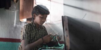 Mari Selvaraj's Vaazhai is eyeing the 40 crore mark soon!
