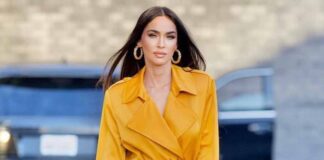 Megan Fox once worked at a smoothie shop in Florida