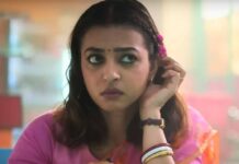 Mrs Undercover Ending Explained