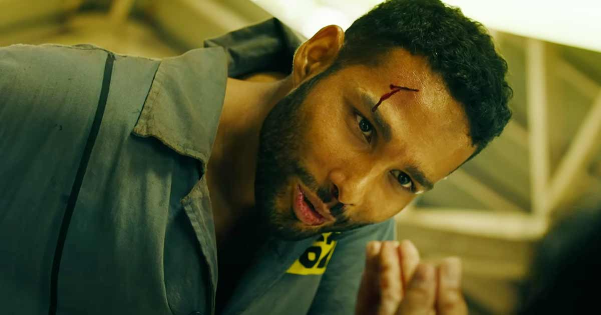 Yudhra Box Office Collection Day 4: Siddhant Chaturvedi’s Actioner Drops Unceremoniously On Monday, Earns Only 60 Lakhs!