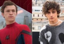 Timothee Chalamet was the first choice for Spider-Man