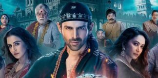 Bhool Bhulaiyaa 3 Box Office Expectations!