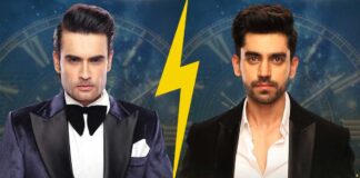 Bigg Boss 18: Vivian DSena VS Avinash Mishra's Score Card: Earning 71K Per Day & 300% Higher Net Worth