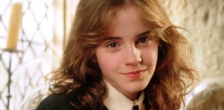 Could Hermione Granger's Essential Role in the Harry Potter Series: More Crucial Than We Realize?