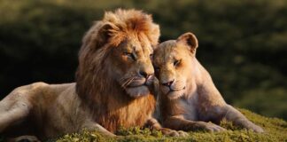 Could Mufasa Have Saved Himself in The Lion King? Exploring Alternative Outcomes!