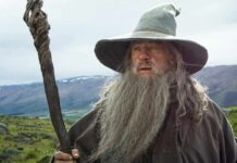 Did Gandalf Have a Hidden Agenda in Guiding Frodo Throughout The Lord of the Rings?