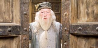 Dumbledore's Master Plan: Discover His Hidden Intentions and Strategies That Shaped the Harry Potter Saga!