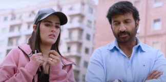 Here's how Gopichand's Viswam performed at the box office!