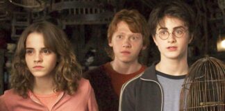 Here’s how the Harry Potter TV show will be different from the movies.