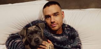 Liam Payne's Net Worth 2024 Revealed Amid Shocking News of One Direction Star's Tragic Death at 31!