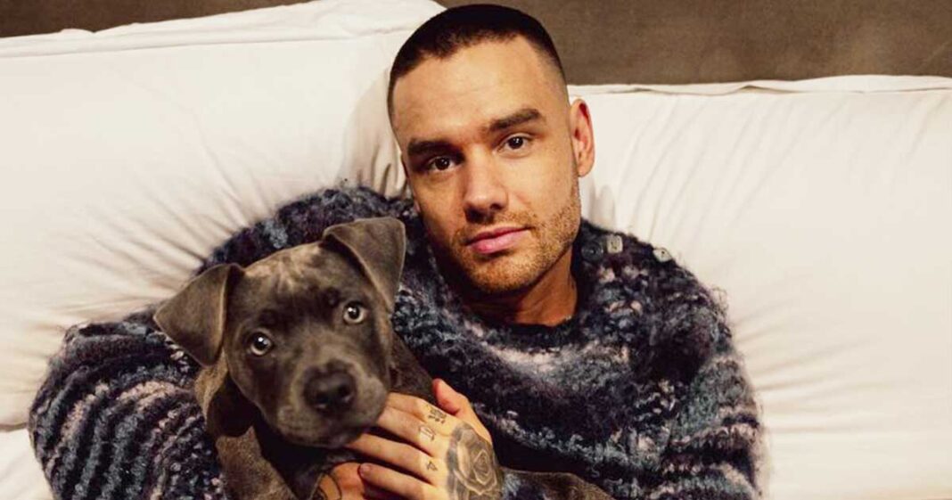 Throwback When Liam Payne Revealed Real Reason Behind His Departure