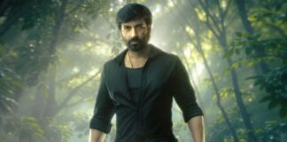 Take a look at the box office performance of Gopichand's Viswam!