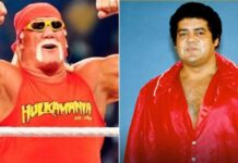 Top 5 Longest-Reigning WWE Champs: From Hulk Hogan To Pedro Morales