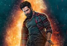 Bhediya Box Office Revisit