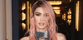 Did Megan Fox pass on roles due to s*x scenes?