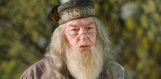 Harry Potter TV Series: Which Actor Will Play Dumbledore In The Max Show? Which actor will play Dumbledore in Harry Potter TV series?