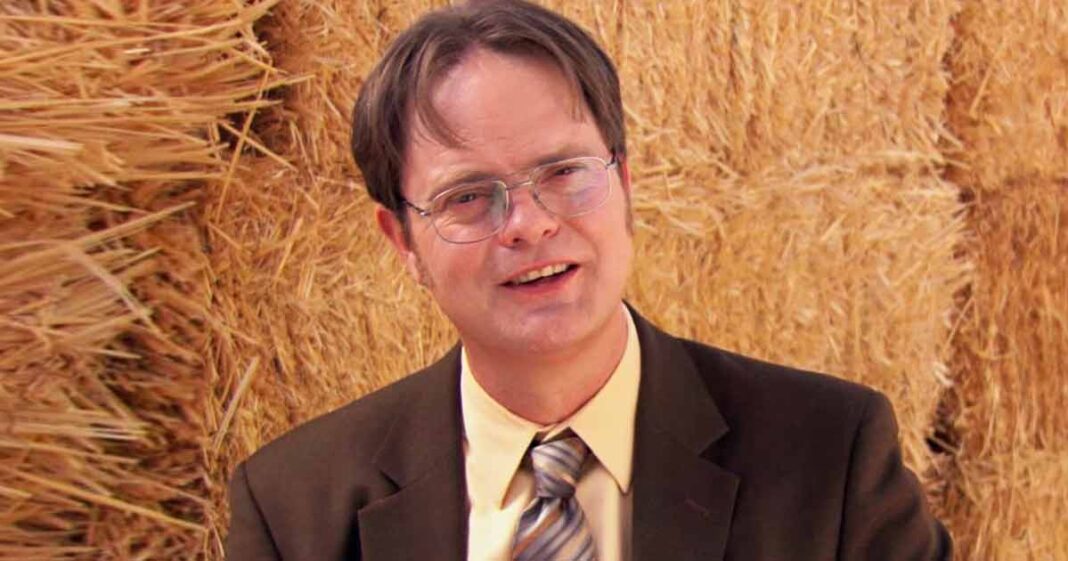 The Office Almost Lost Dwight Schrute, How Rainn Wilson Nearly Missed