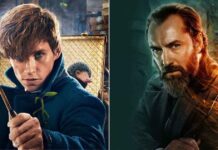 Best Harry Potter spin-offs to watch for Potterheads