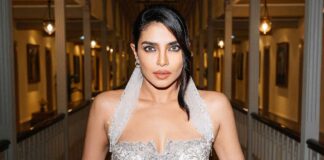 Why did Priyanka Chopra Jonas take up B-grade roles?