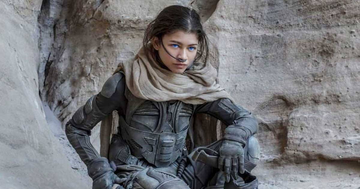 Zendaya's Box Office Report Card 2024