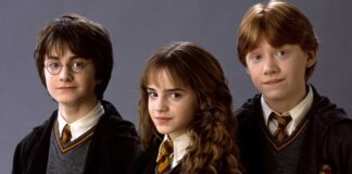 Harry Potter Remake HBO Series Insights