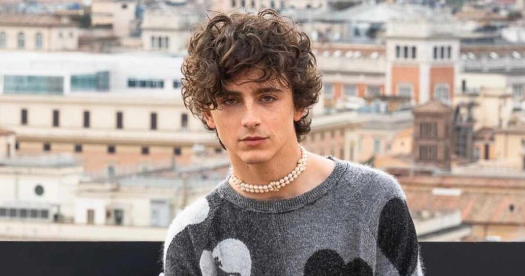 A complete unknown everything to know about timothee chalamet s