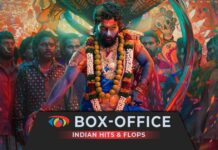 Indian Box Office Verdicts & Collection 2024
