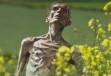 Did Cillian Murphy Appear As A Zombie In 28 Years Later Trailer?