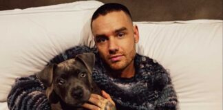 Netflix's Building The Band was Liam Payne’s final project