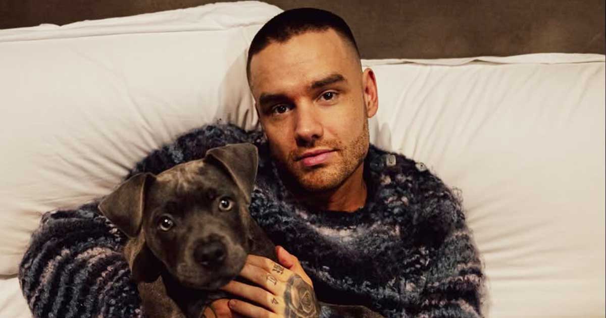 Netflix's Building The Band was Liam Payne’s final project