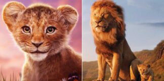 Mufasa Box Office