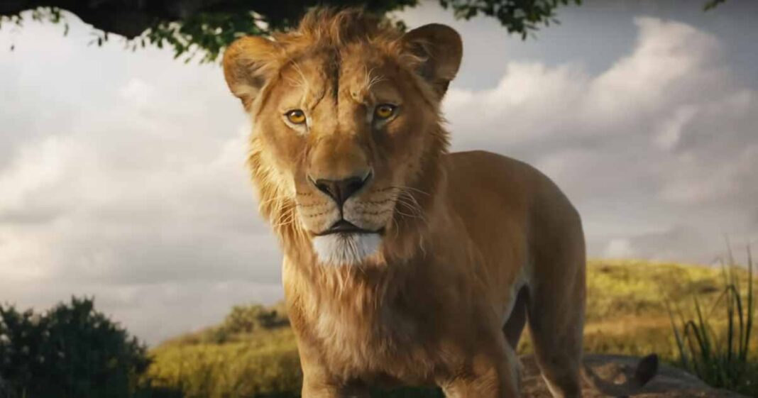 Mufasa The Lion King Box Office (North America) To Earn 80 Less Than