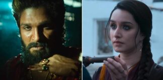 Pushpa 2 Hindi Box Office Day 10: Allu Arjun Creates History Surpassing Stree 2