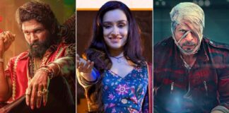 Pushpa 2 Hindi Box Office Day 12