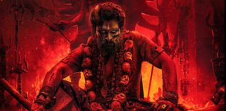 Pushpa 2 Hindi Box Office Day 16 (Early Trends)