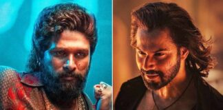 Pushpa 2 Hindi Box Office Day 20