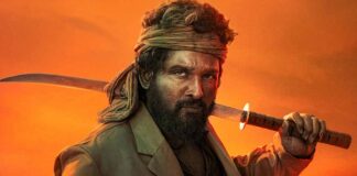 Pushpa 2 Hindi Box Office Day 9: Earns More Than Lifetime Total Of Every Single South Indian Hindi Film Of 2024!